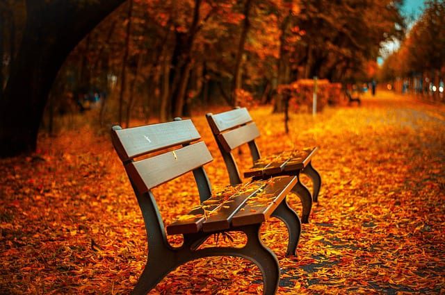 2018-Fall-Weather-Forecast-GTA