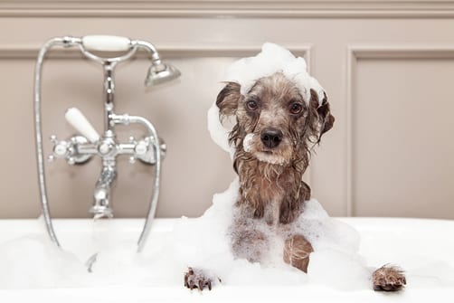 Keep-Running-Out-of-Hot-Water-3-Ways-to-Keep-It-Flowing-a-Little-Longer