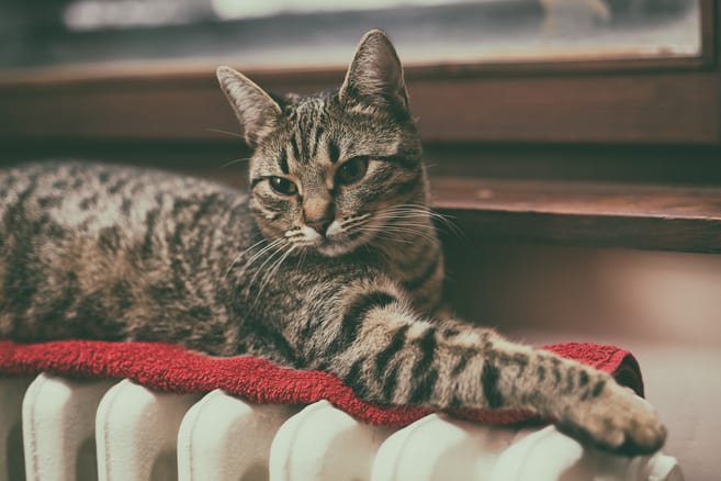 what-you-should-know-before-buying-a-boiler